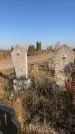 Захоронение ID 1310662
