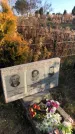 Захоронение ID 1310695