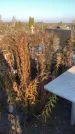 Захоронение ID 1310698