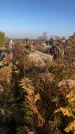 Захоронение ID 1310700