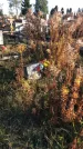 Захоронение ID 1310707
