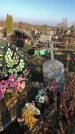 Захоронение ID 1310720