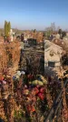 Захоронение ID 1310722