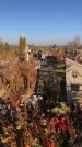 Захоронение ID 1310723