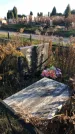 Захоронение ID 1310736