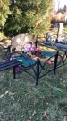 Захоронение ID 1310775