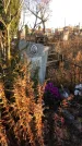 Захоронение ID 1310826