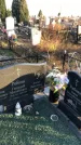 Захоронение ID 1310865