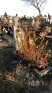 Захоронение ID 1310871