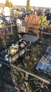 Захоронение ID 1310900