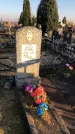 Захоронение ID 1310908