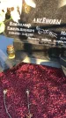 Захоронение ID 1310929