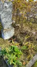 Захоронение ID 1311068