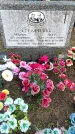 Захоронение ID 1311320