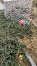 Захоронение ID 1311358