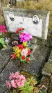 Захоронение ID 1311363