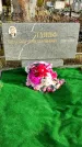 Захоронение ID 1311377