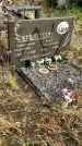 Захоронение ID 1311390