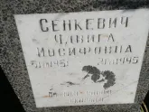 Захоронение ID 1311039