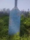 Захоронение ID 1312046