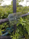 Захоронение ID 1312136