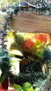 Захоронение ID 1315385