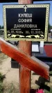 Захоронение ID 1315558