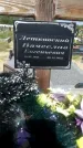 Захоронение ID 1315568
