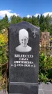 Захоронение ID 1317400