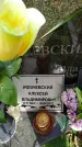 Захоронение ID 1317420