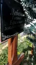 Захоронение ID 1316102