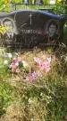 Захоронение ID 1316429