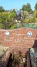 Захоронение ID 1316858