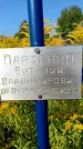 Захоронение ID 1317426