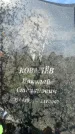 Захоронение ID 1318236