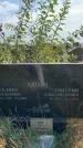 Захоронение ID 1318274