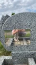 Захоронение ID 1318701