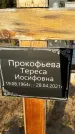 Захоронение ID 1319125