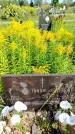 Захоронение ID 1319496