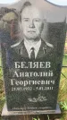 Захоронение ID 1319635