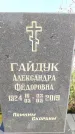 Захоронение ID 1319809