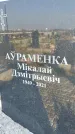Захоронение ID 1320035