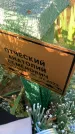 Захоронение ID 1320123
