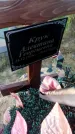 Захоронение ID 1320380