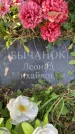 Захоронение ID 1321275