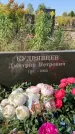 Захоронение ID 1321718