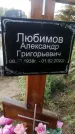 Захоронение ID 1322137