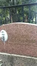Захоронение ID 1322762