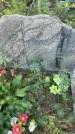 Захоронение ID 1323213