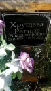 Захоронение ID 1323605